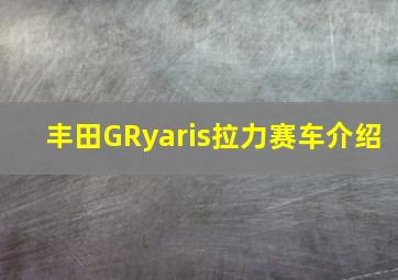 丰田GRyaris拉力赛车介绍