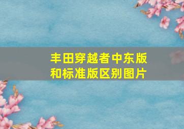 丰田穿越者中东版和标准版区别图片