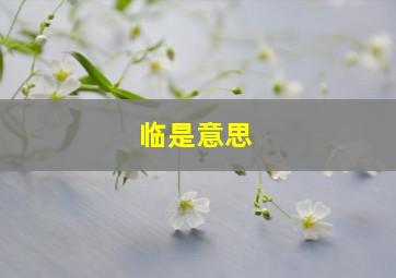 临是意思