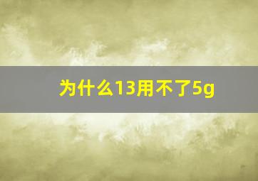 为什么13用不了5g