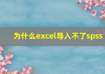 为什么excel导入不了spss