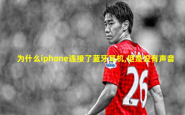 为什么iphone连接了蓝牙耳机,但是没有声音