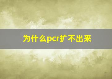 为什么pcr扩不出来