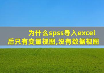 为什么spss导入excel后只有变量视图,没有数据视图