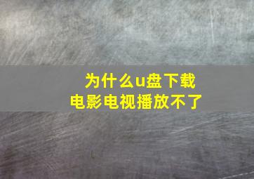 为什么u盘下载电影电视播放不了