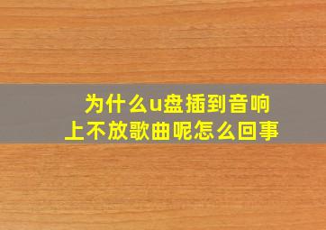 为什么u盘插到音响上不放歌曲呢怎么回事