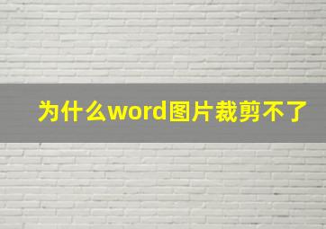 为什么word图片裁剪不了