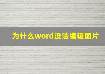 为什么word没法编辑图片