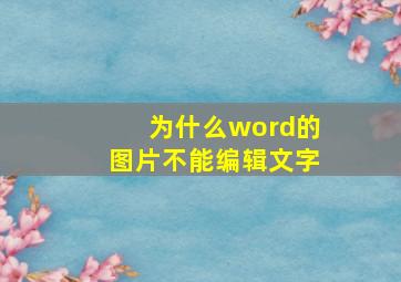 为什么word的图片不能编辑文字