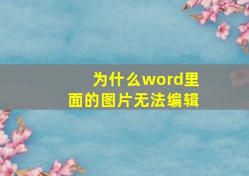 为什么word里面的图片无法编辑