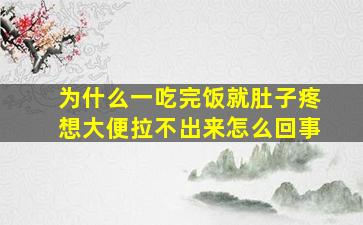 为什么一吃完饭就肚子疼想大便拉不出来怎么回事