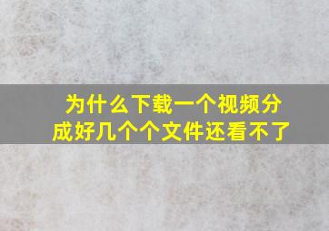 为什么下载一个视频分成好几个个文件还看不了