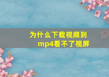 为什么下载视频到mp4看不了视屏