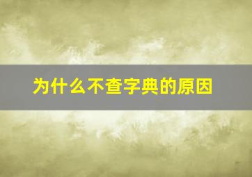 为什么不查字典的原因