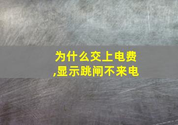 为什么交上电费,显示跳闸不来电