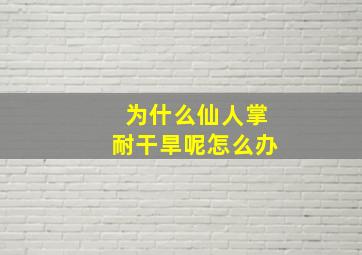 为什么仙人掌耐干旱呢怎么办