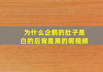 为什么企鹅的肚子是白的后背是黑的呢视频