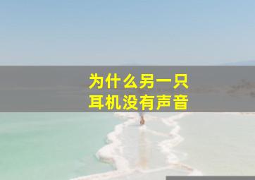 为什么另一只耳机没有声音