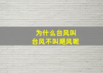 为什么台风叫台风不叫飓风呢