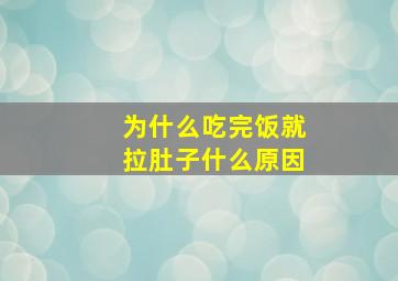 为什么吃完饭就拉肚子什么原因