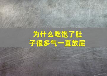 为什么吃饱了肚子很多气一直放屁