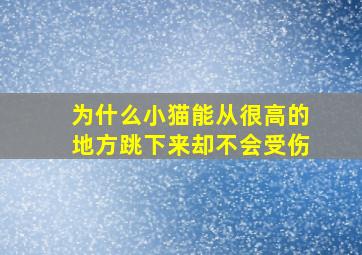 为什么小猫能从很高的地方跳下来却不会受伤