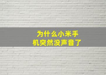 为什么小米手机突然没声音了