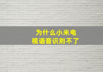 为什么小米电视语音识别不了