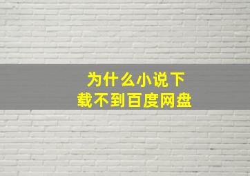 为什么小说下载不到百度网盘