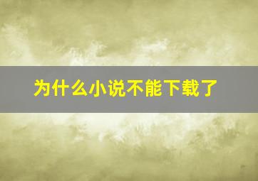 为什么小说不能下载了