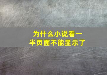 为什么小说看一半页面不能显示了