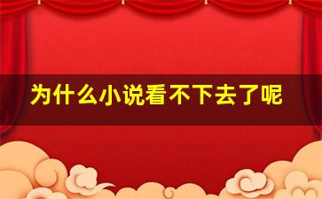 为什么小说看不下去了呢