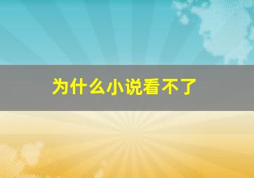 为什么小说看不了