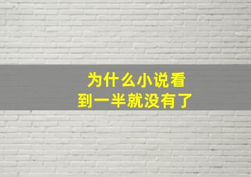 为什么小说看到一半就没有了