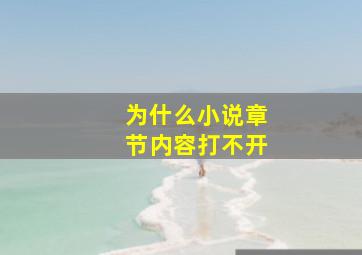 为什么小说章节内容打不开