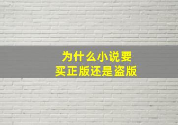 为什么小说要买正版还是盗版