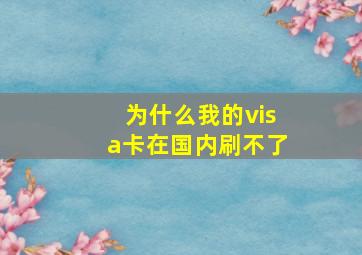 为什么我的visa卡在国内刷不了