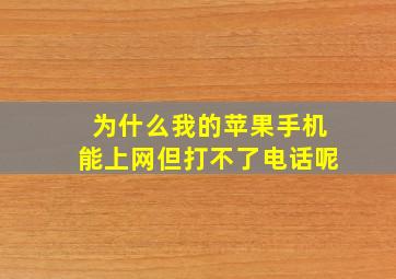 为什么我的苹果手机能上网但打不了电话呢