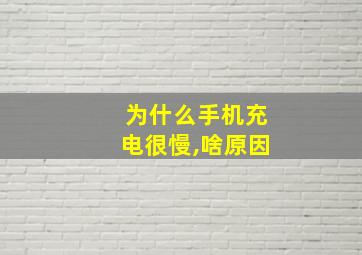 为什么手机充电很慢,啥原因