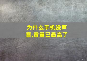 为什么手机没声音,音量已最高了