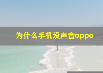 为什么手机没声音oppo