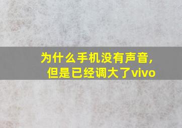 为什么手机没有声音,但是已经调大了vivo