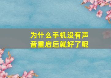 为什么手机没有声音重启后就好了呢