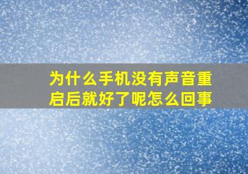 为什么手机没有声音重启后就好了呢怎么回事