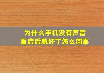 为什么手机没有声音重启后就好了怎么回事