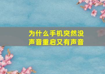 为什么手机突然没声音重启又有声音