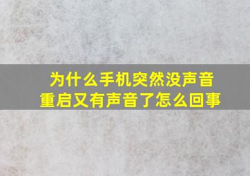 为什么手机突然没声音重启又有声音了怎么回事