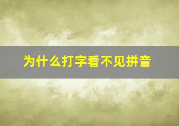 为什么打字看不见拼音