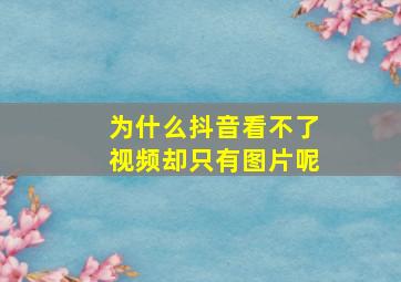 为什么抖音看不了视频却只有图片呢