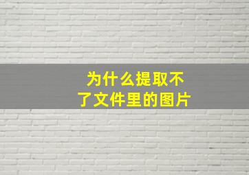 为什么提取不了文件里的图片